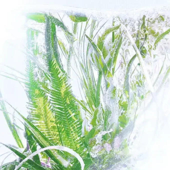 Ανταλλακτικό άρωμα γεράνι – Rivieres De Cartier | Cartier