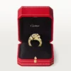 Δαχτυλίδι Panthere De Cartier, αρθρωτό Δαχτυλίδι Panthere De Cartier, αρθρωτό
