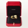 Δαχτυλίδι Panthere De Cartier – Κίτρινο χρυσό, όνυχας, γρανάτης τσαβορίτης – Cartier