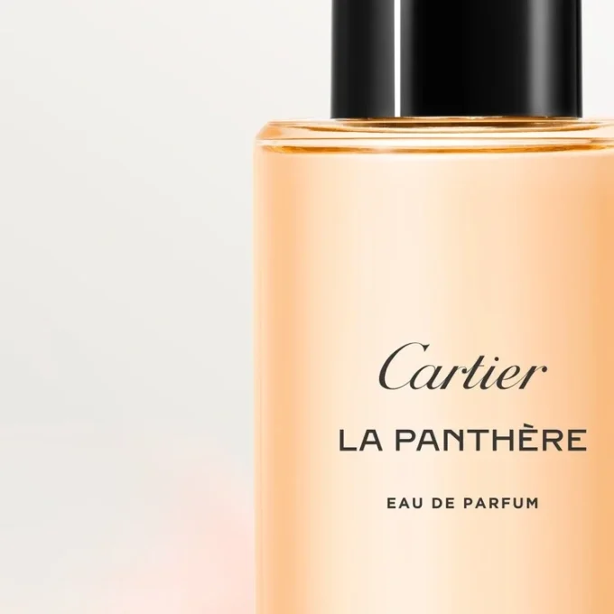 La Panthere Ανταλλακτικό La Panthere Ανταλλακτικό