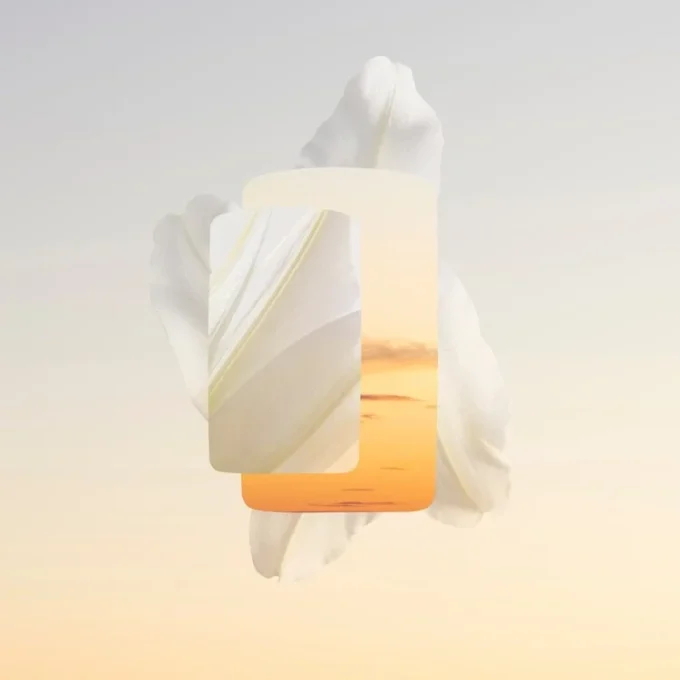 Lily Parfum – Baiser Vole | Cartier Lily Parfum – Baiser Vole | Cartier