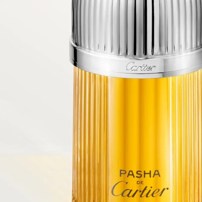 Pasha De Cartier Pasha De Cartier