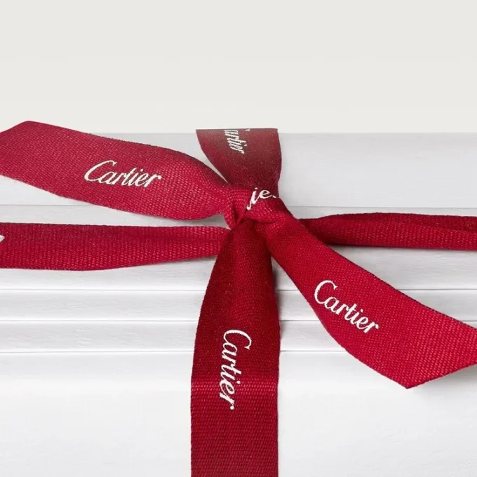 Pasha De Cartier Edition Noire Pasha De Cartier Edition Noire