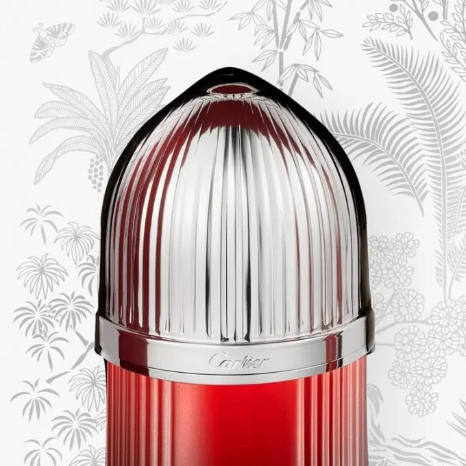 Σετ δώρου Pasha De Cartier Sport Edition