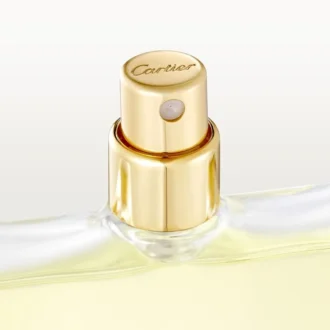 Συσκευασία αναπλήρωσης Eau De Toilette – Declaration | Cartier