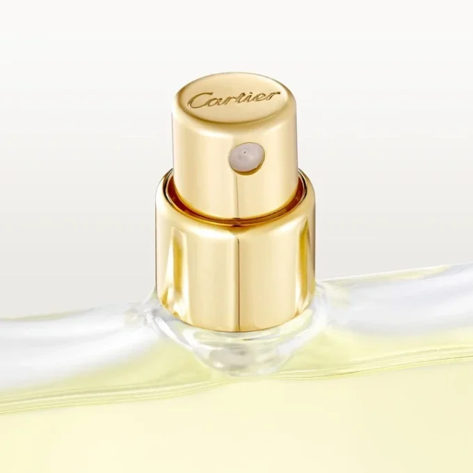 Συσκευασία αναπλήρωσης Eau De Toilette – Declaration | Cartier Συσκευασία αναπλήρωσης Eau De Toilette – Declaration | Cartier