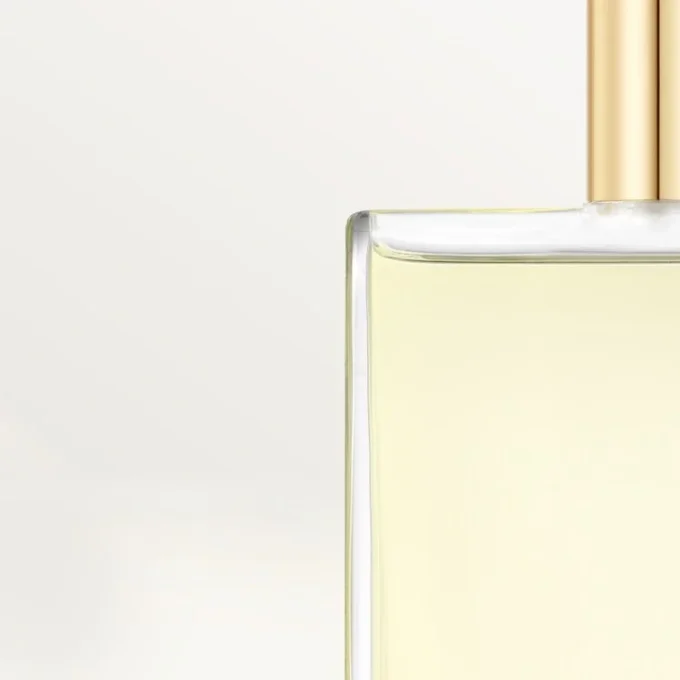 Συσκευασία αναπλήρωσης Eau De Toilette – Declaration | Cartier Συσκευασία αναπλήρωσης Eau De Toilette – Declaration | Cartier